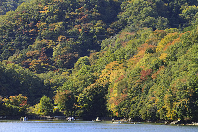 相模湖の紅葉