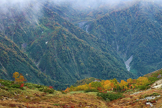 八方池周辺の紅葉