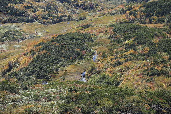 八方尾根からの紅葉