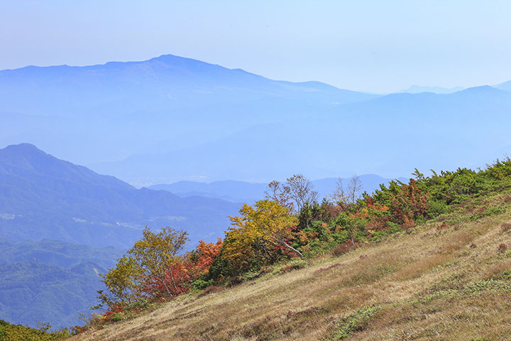 八方尾根からの紅葉