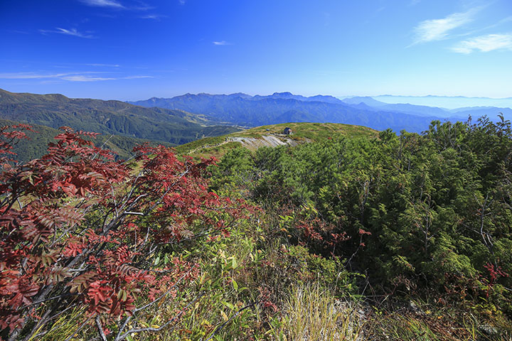 八方尾根からの紅葉