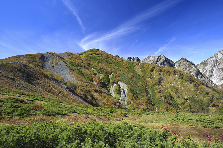 八方尾根の丸山紅葉