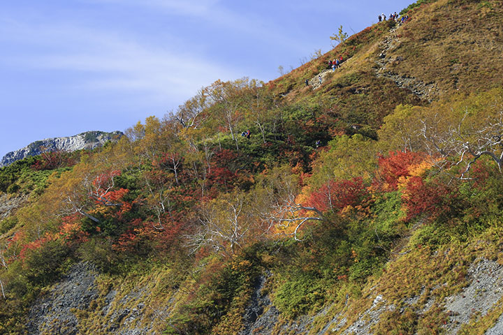 八方尾根の丸山紅葉