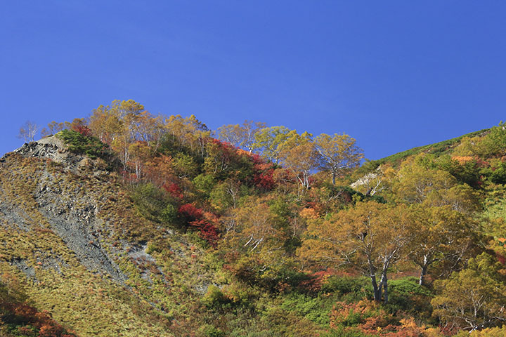 八方尾根の丸山紅葉