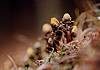 ������'2000