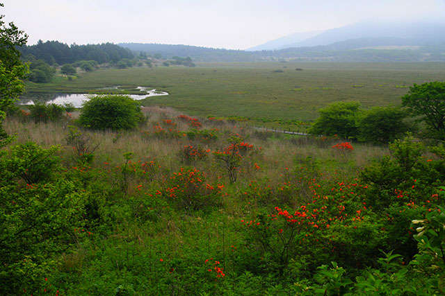 八島湿原