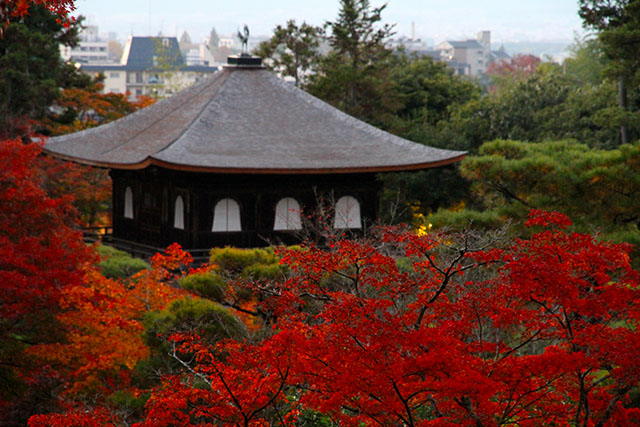 山門の紅葉