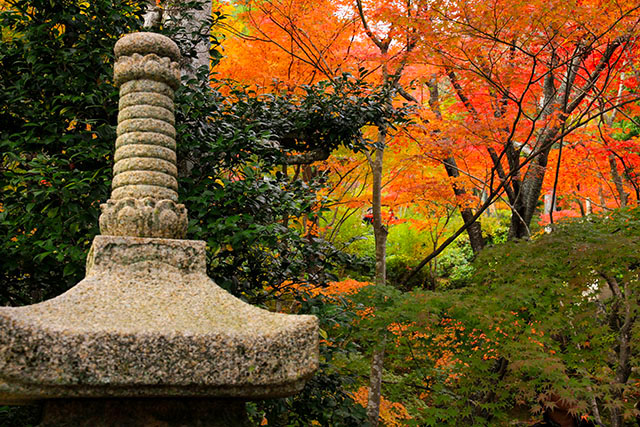 常寂光寺