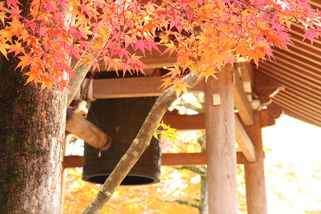 常寂光寺
