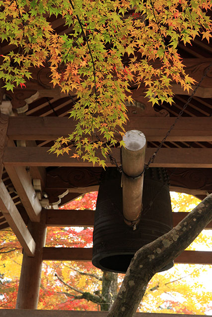 常寂光寺