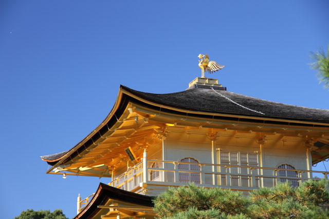 鳳凰