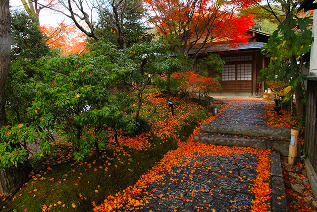 ねねの小径と紅葉