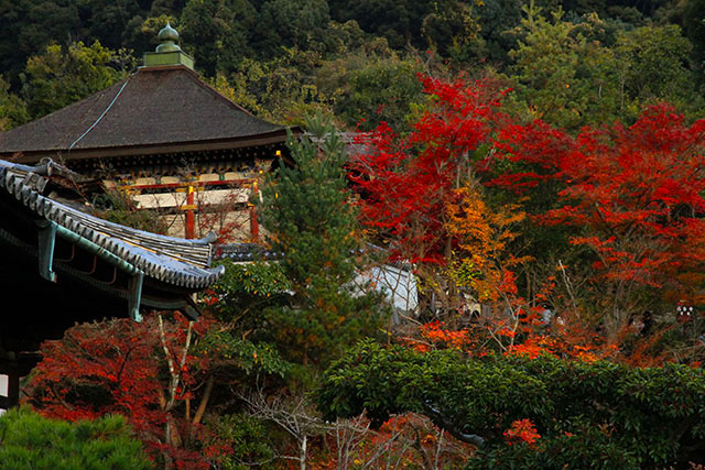 開山堂と紅葉