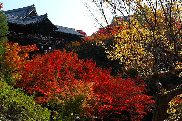 通天橋展望台
