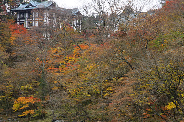 金谷ホテルと紅葉