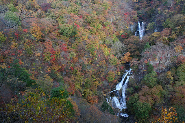 霧降の滝の紅葉