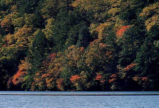 湯の湖紅葉