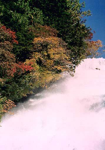 湯滝上部の紅葉