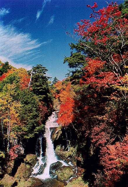 竜頭の滝紅葉