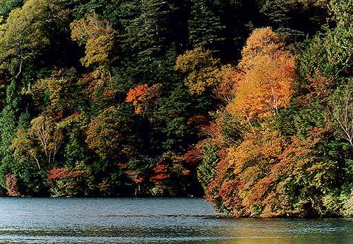 湯の湖紅葉