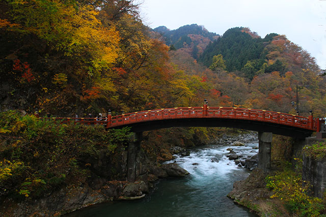 神橋と紅葉