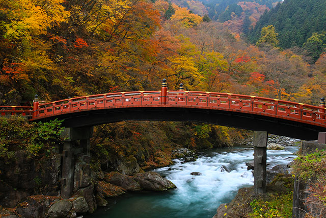 神橋と紅葉