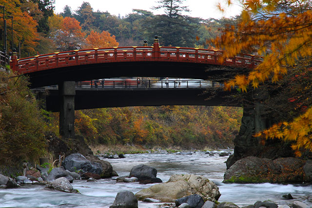 神橋と紅葉