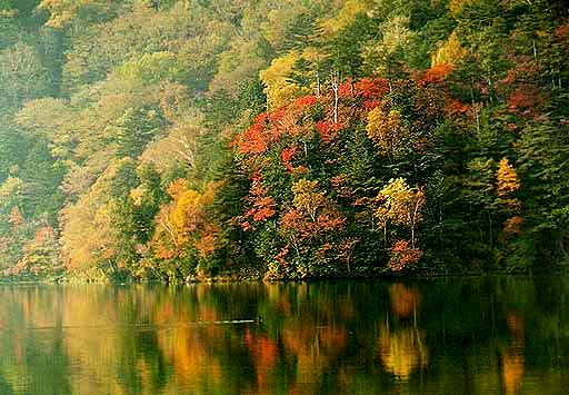湯の湖北岸の紅葉