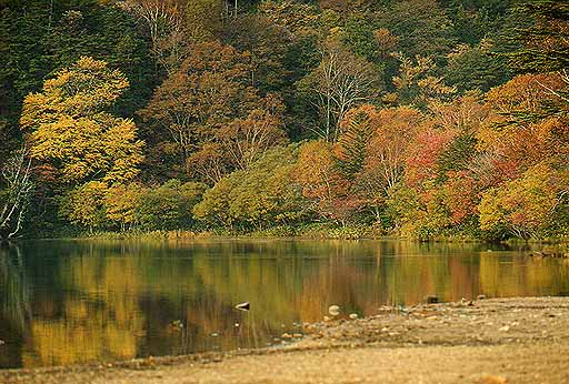 湯の湖北岸の紅葉