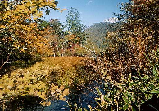 湯の湖出口の紅葉