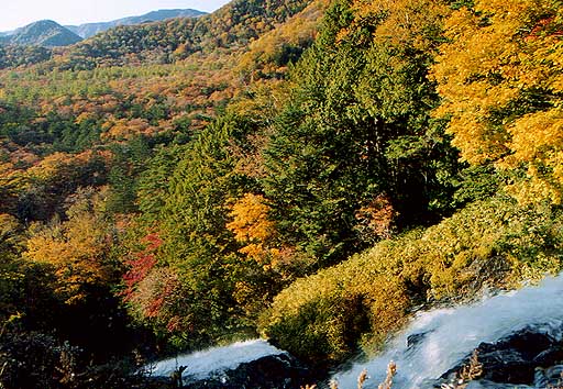 戦場ヶ原に落ちる・湯滝の紅葉
