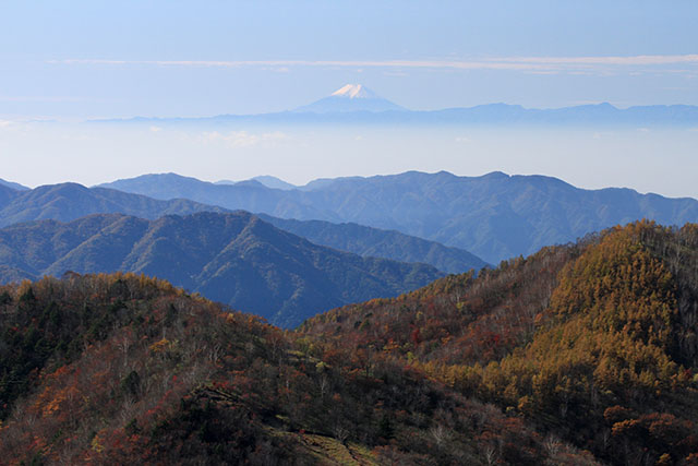 富士山を望む