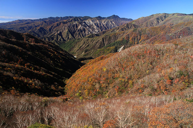 半月山紅葉