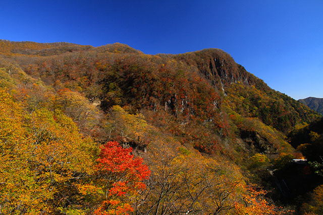 いろは坂と紅葉