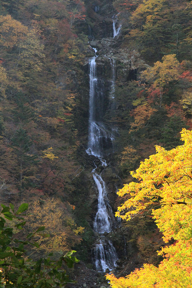 蛇王の滝
