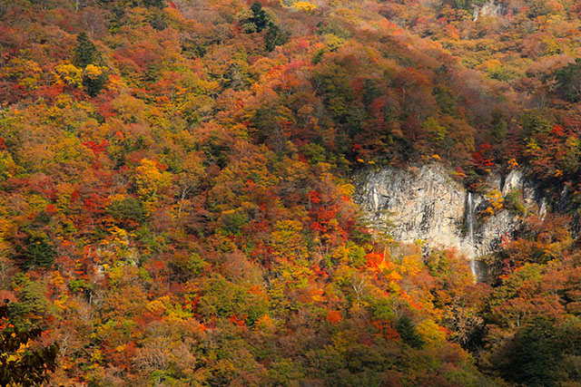 唐滝と紅葉