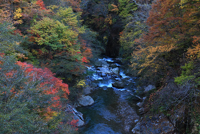 川俣温泉噴泉橋からの紅葉
