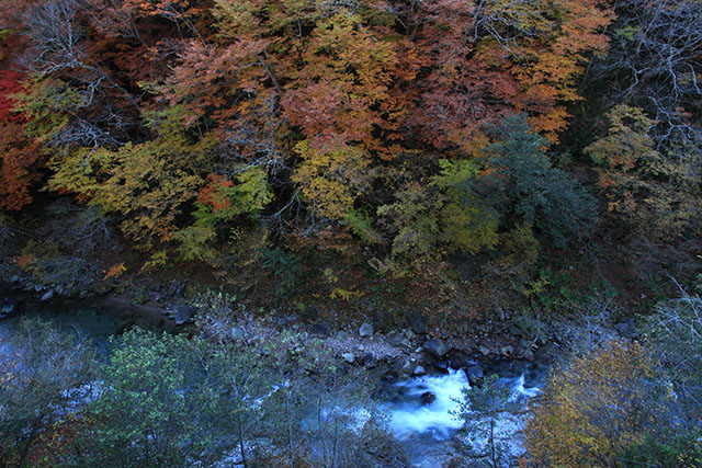 川俣温泉の渓谷の紅葉