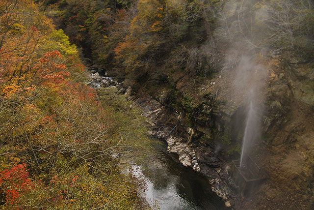 川俣温泉の間欠泉と紅葉