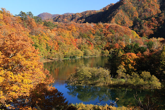 川俣湖の紅葉