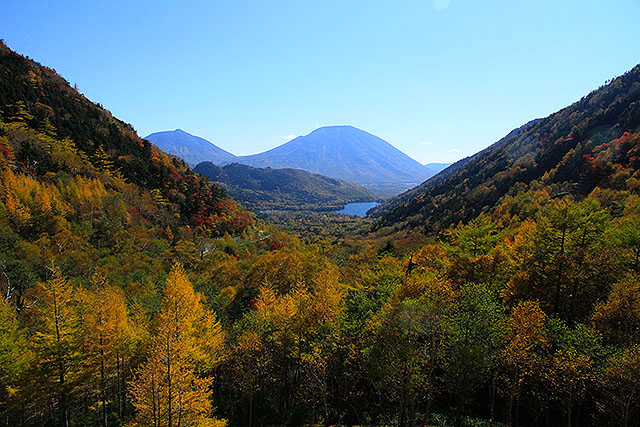 金精峠から見た奥日光の紅葉