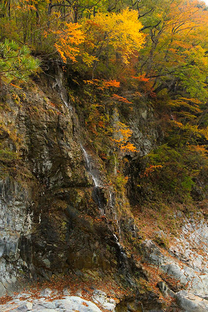龍王峡紅葉