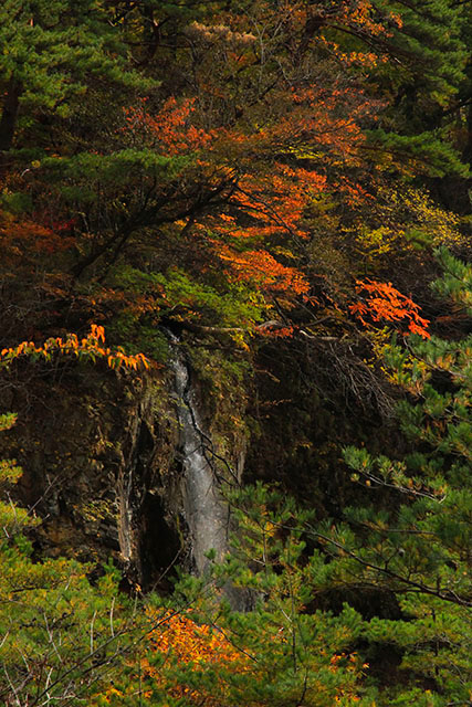 龍王峡紅葉