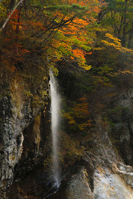 龍王峡紅葉
