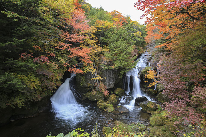 2020年竜頭の滝紅葉全景