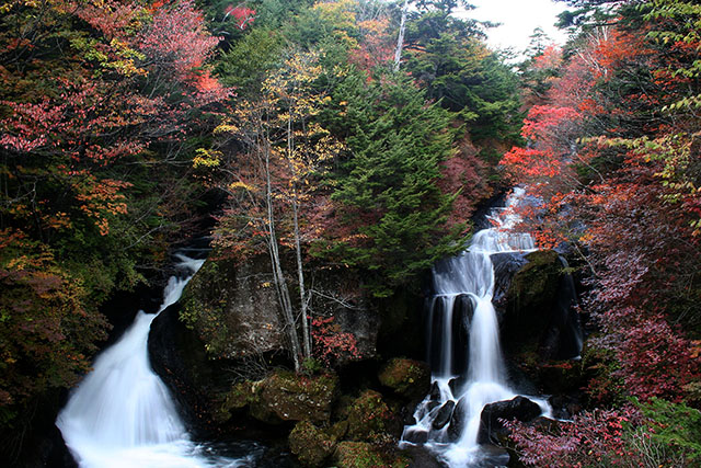 2009年竜頭の滝全景