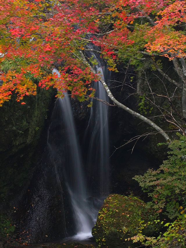 竜頭の滝