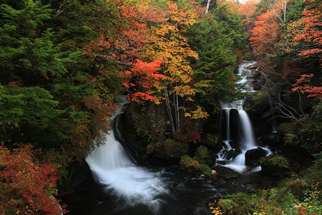 2014年竜頭の滝全景