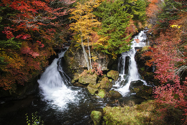 龍頭之滝紅葉全景