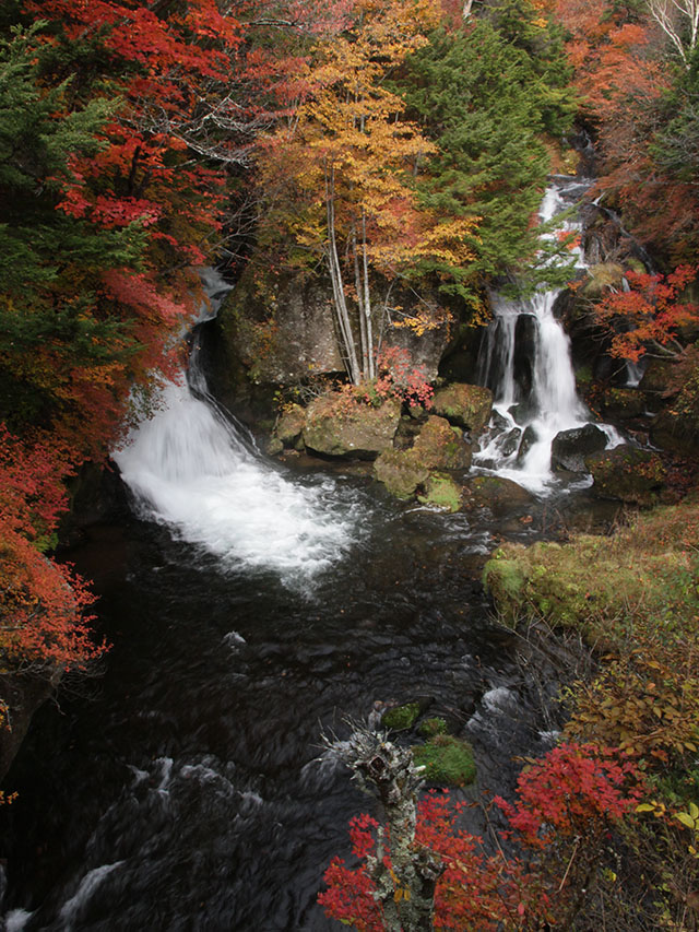 竜頭の滝